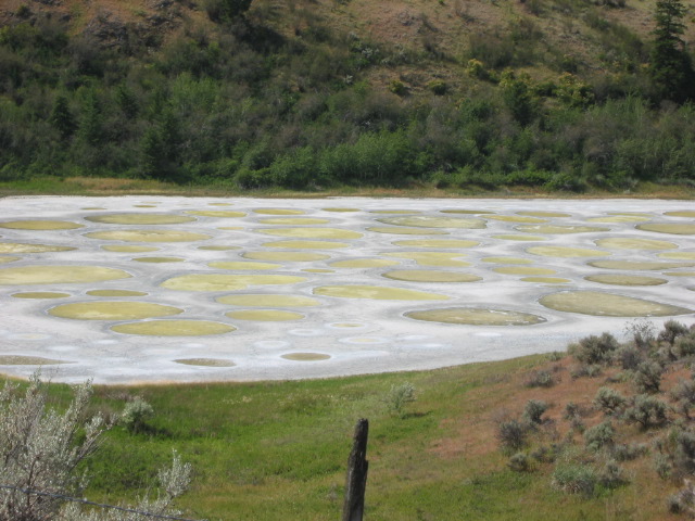 Spotted Lake, BC (weird but true)