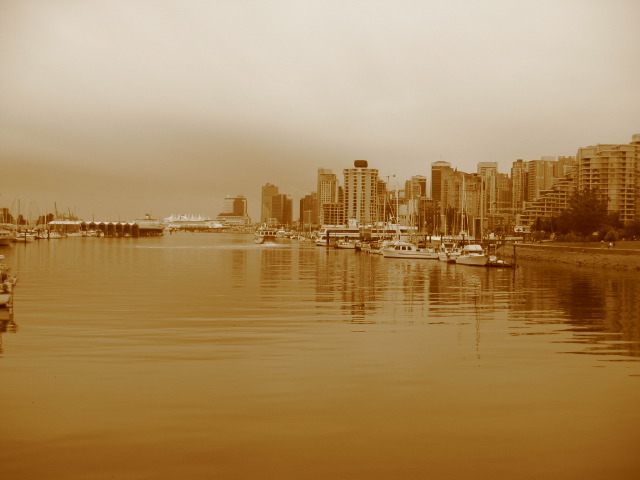 Looking back at city from Stanley Park