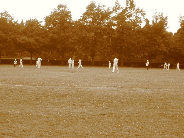 Cricket match at Stanley Park