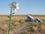 prairie flower