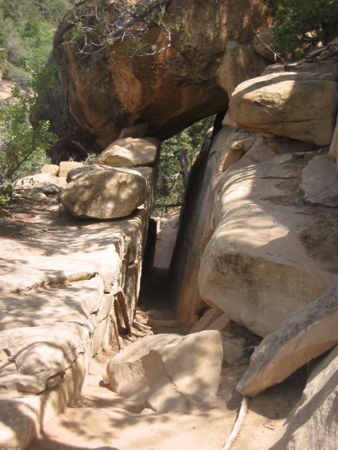 narrow walkway on trail