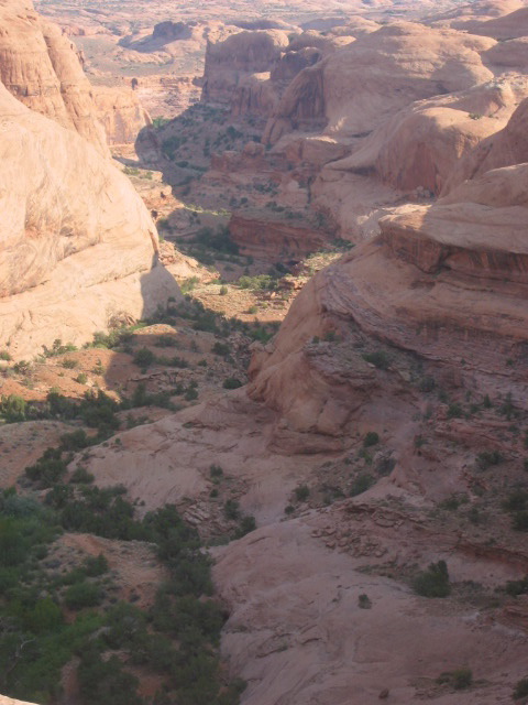 the canyon